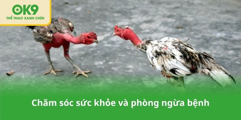 Chăm sóc sức khỏe và phòng ngừa bệnh