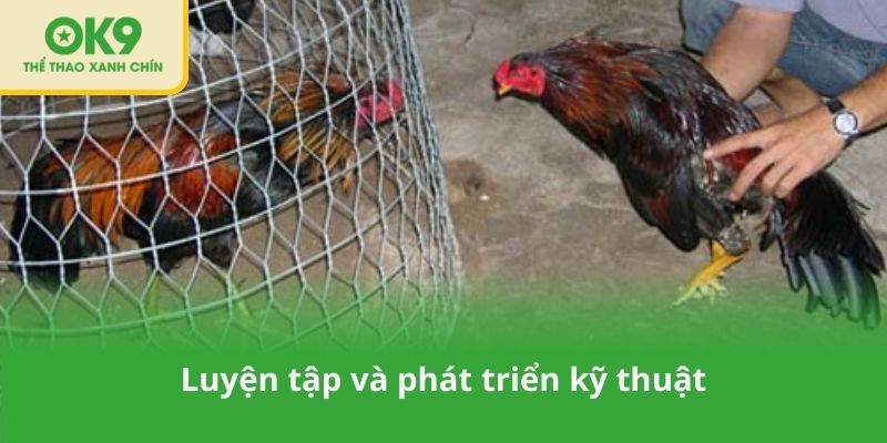 Luyện tập và phát triển kỹ thuật